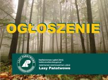 Informacja o stanie infrastryktury komunikacyjnej w lasach Nadleśnictwa Lądek Zdrój